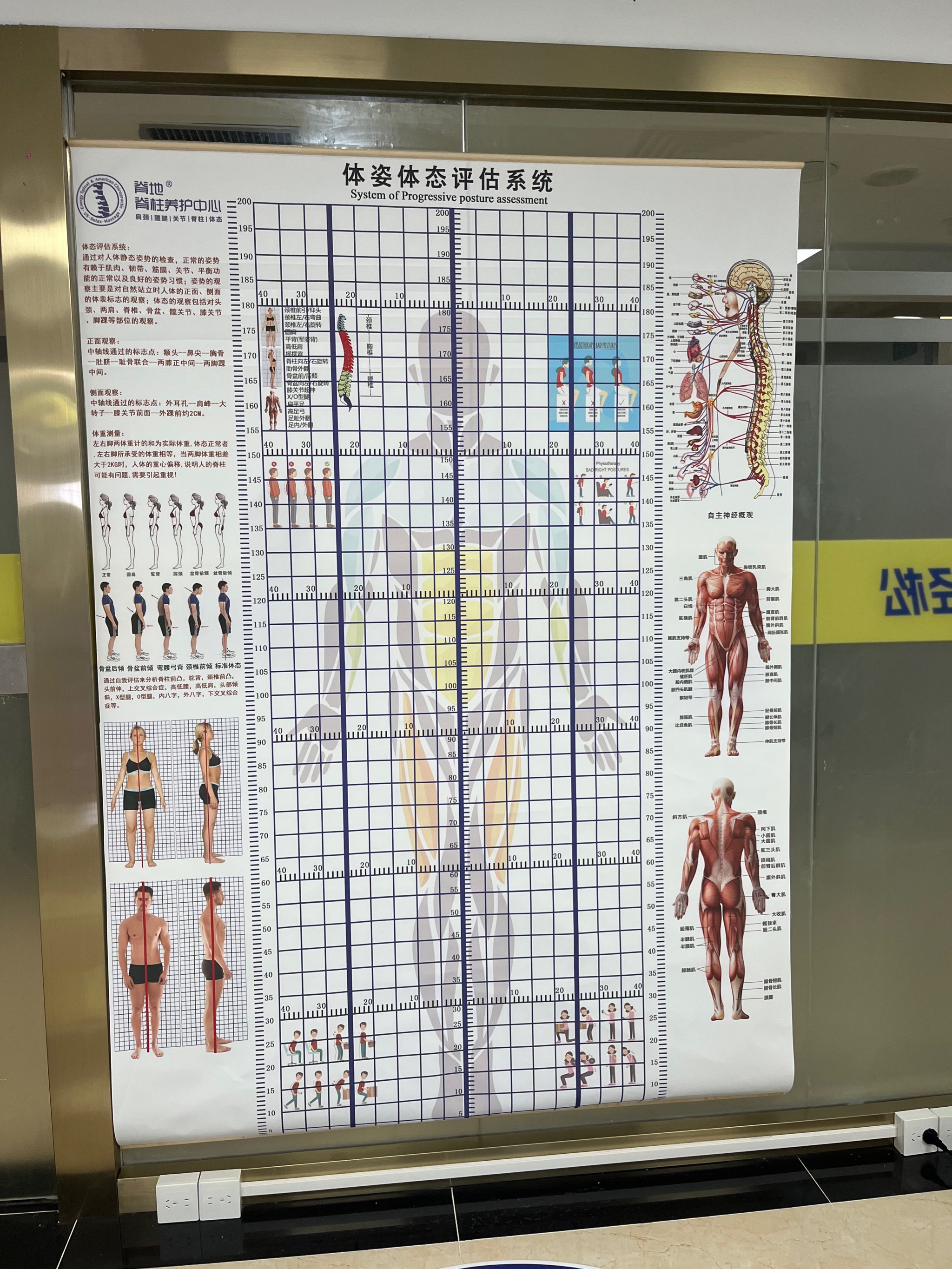 米兰体育登录入口官网-包含电竞选手如何平衡训练与生活：合理安排与有效放松的词条