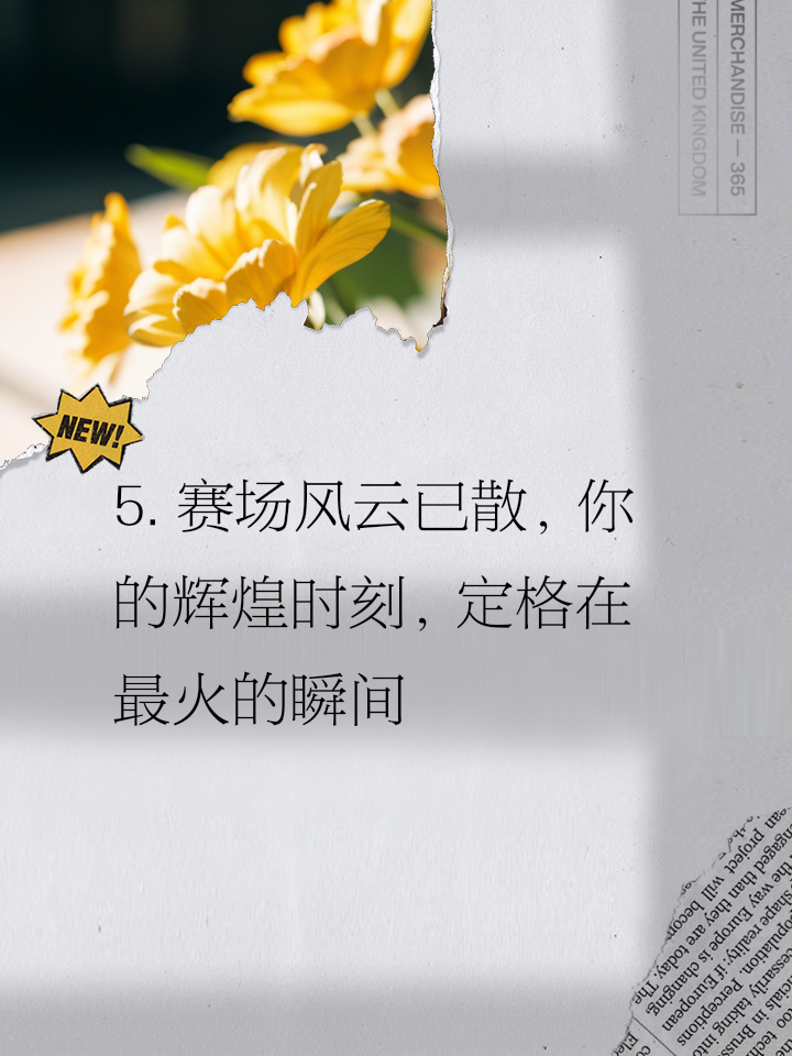 “传奇车队”背后的故事：那些被铭记的辉煌时刻的简单介绍