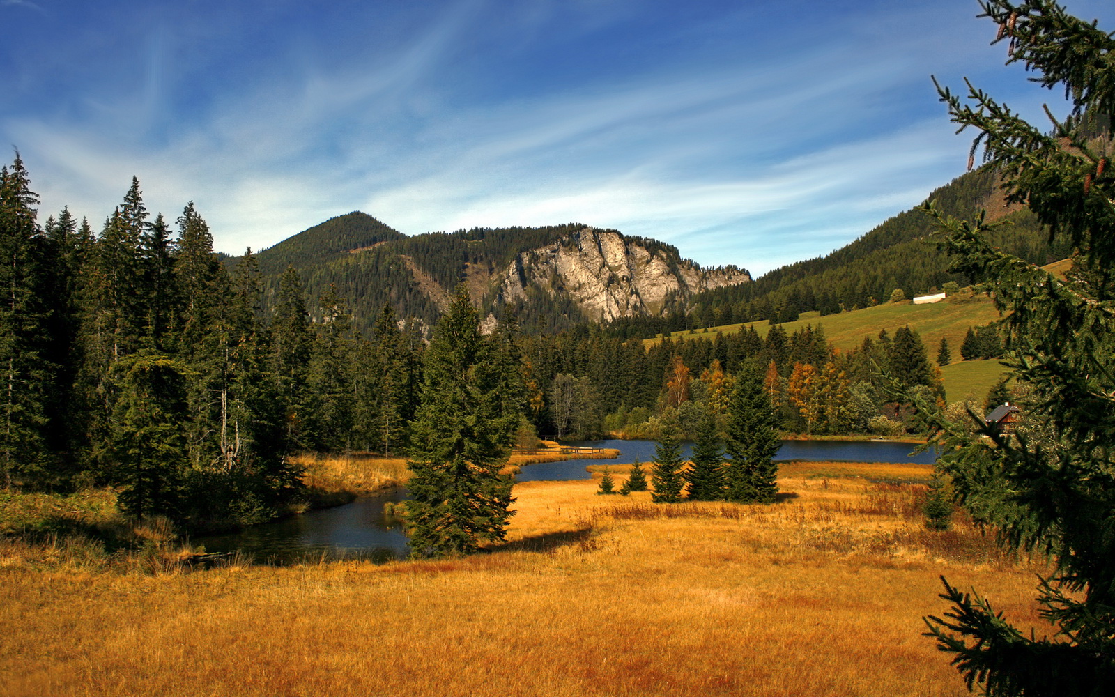 AC MILAN APP-“性能巨兽：顶级豪车的速度狂潮”，性能车速度可以爆表的车