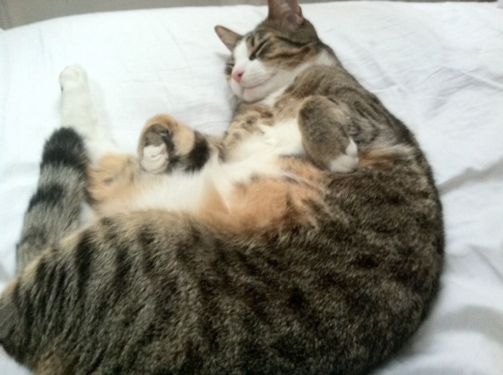 【规则未来发展】联盟计划引入更多智能裁判手段,联盟规则大全