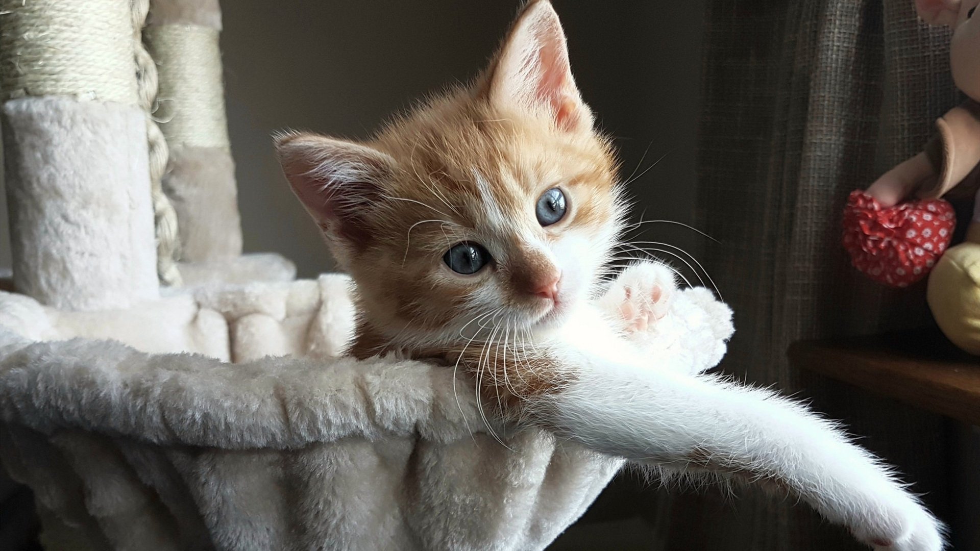 你心中的最佳赛车场景是哪一幕?,赛车景象