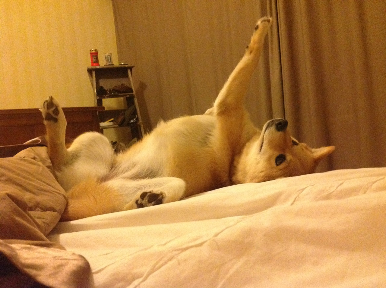 逆境求胜:球队在落后时的英勇表现,逆境求存