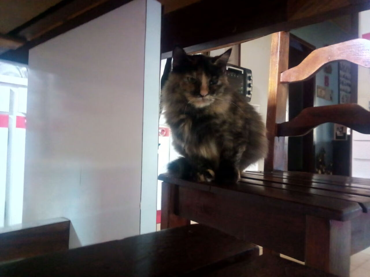 横滨水手主场大胜对手,横滨水手今天比赛