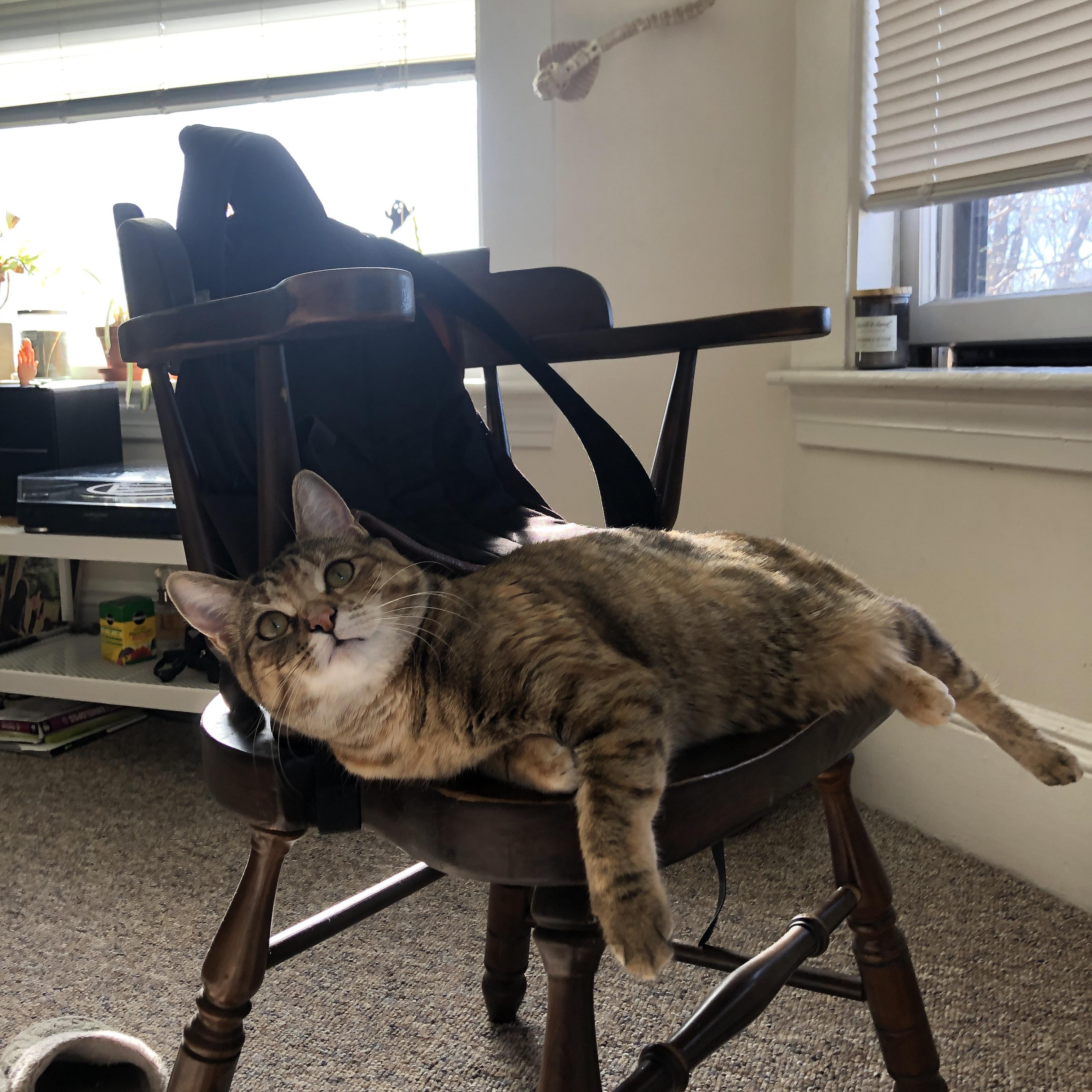 米兰体育官方网站APP下载-立陶宛对阵白俄罗斯，欧洲国家联赛实力对抗，立陶宛vs白俄