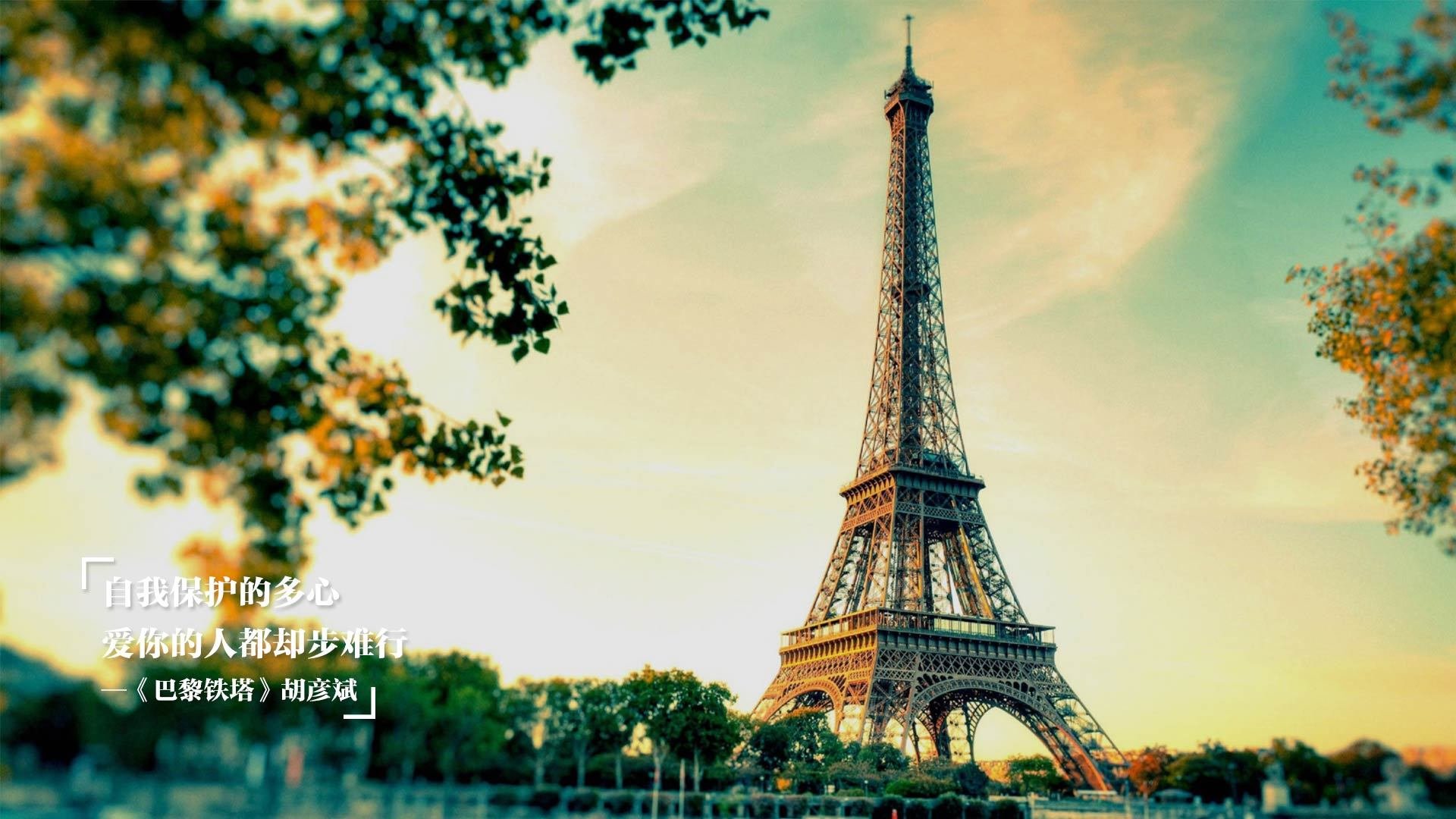 米兰体育官网入口-重要比赛球员表现备受关注，重点球员