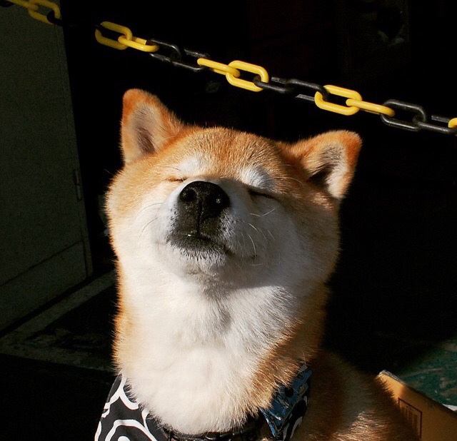 米兰体育APP-鹈鹕客场惜败太阳，英格拉姆莫名失灵致终场败北，鹈鹕英格拉姆受伤