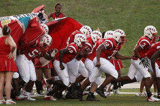 米兰体育官方网址入口-全国青少年长跑赛在南京掀起跑步热潮，青少年长跑标准