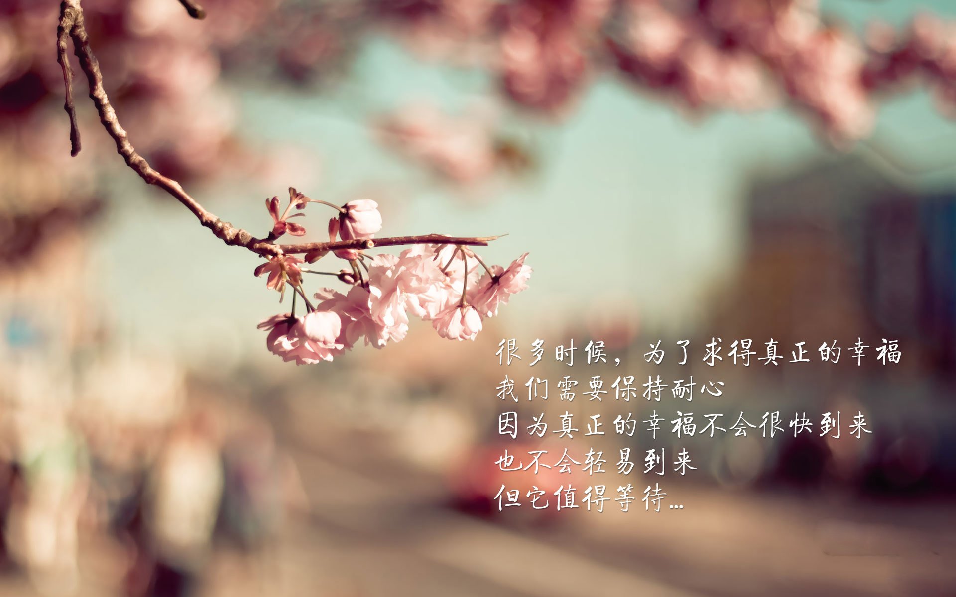 AC Milan-俱乐部管理层称赞球队执行力和职业精神，球队管理层职位