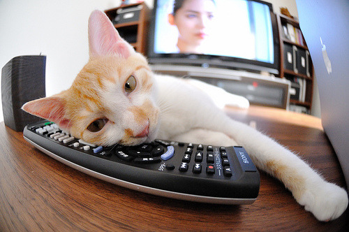 -印度队未来规划：创新青训模式，打造后备人才基地，印度队员