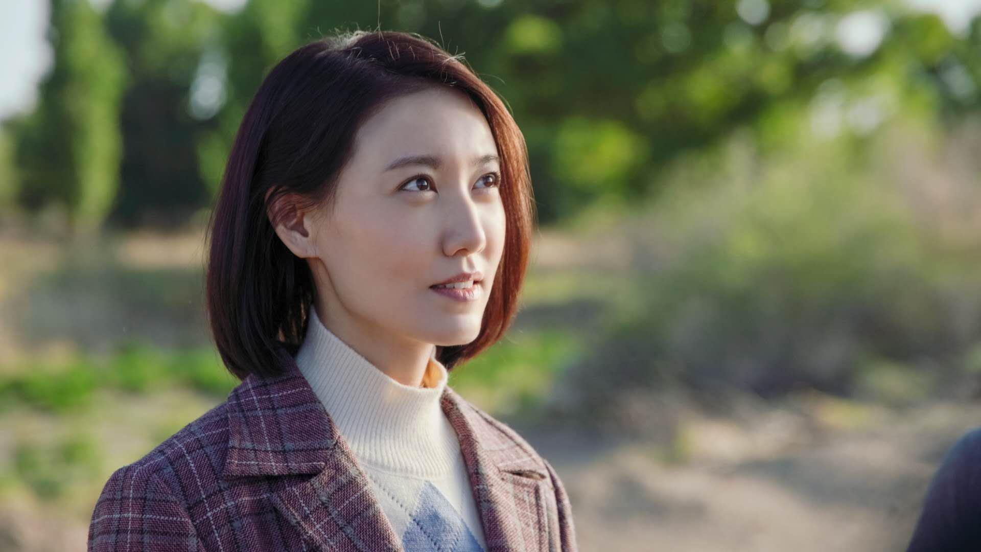 国际足球裁判引入自动判罚系统,创新引领行业发展,足球国家裁判