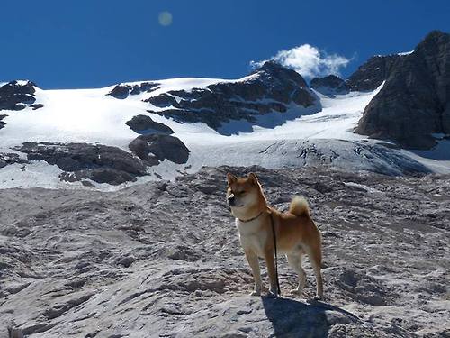 数据平台更新球员表现指数为选人提供更多客观依据,球员数据app