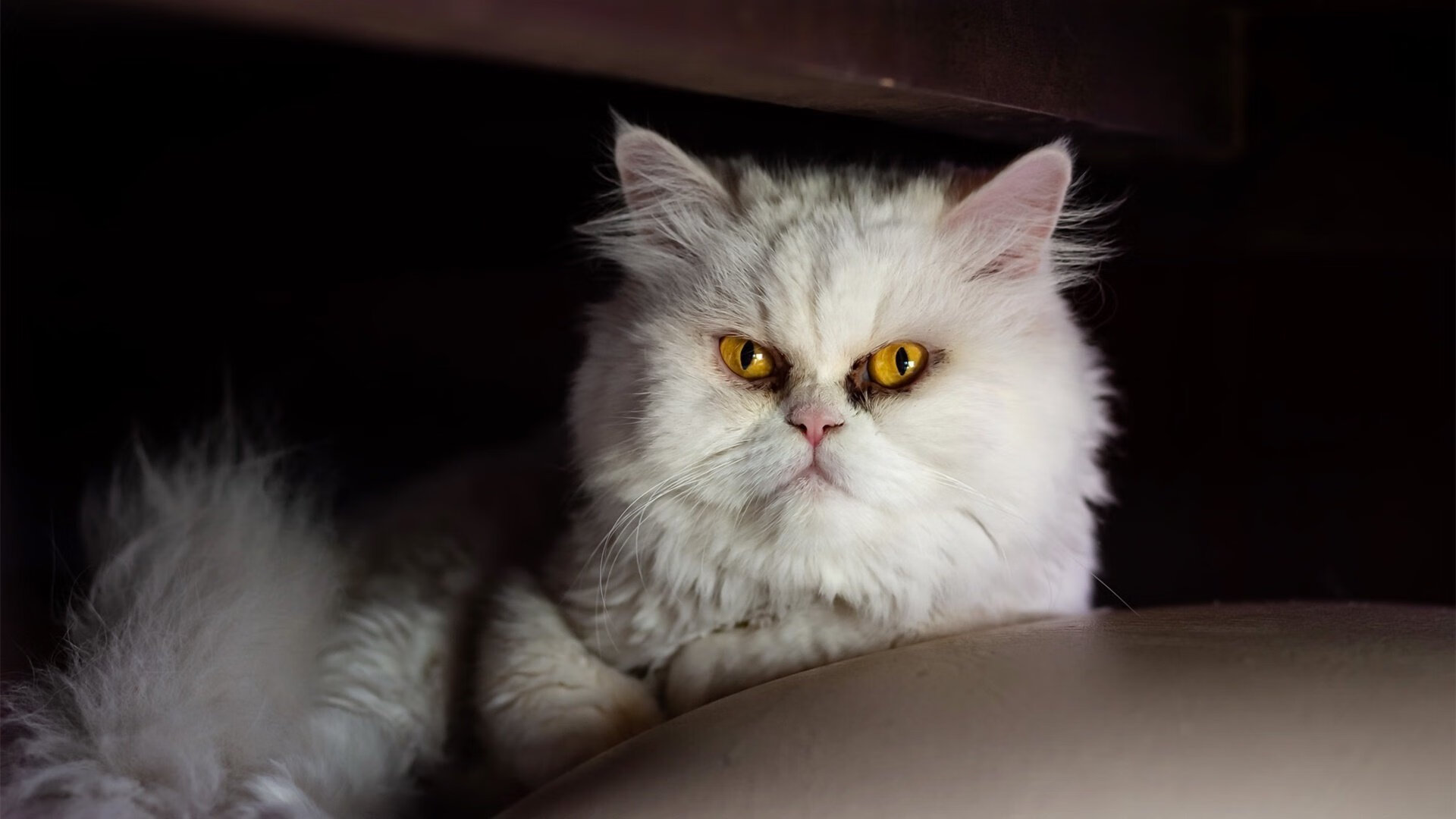 欧洲杯策略变化：阵型布置不断推陈出新！，欧洲杯战术分析