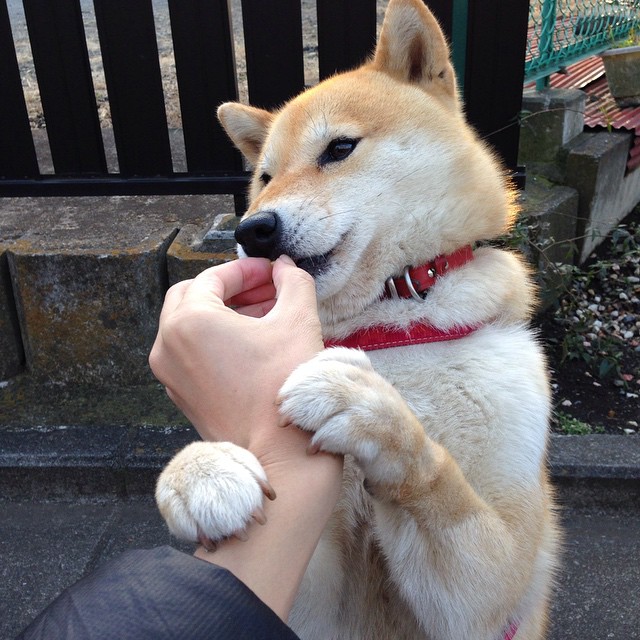 MILAN SPORTS-球场环保倡议推行，赛事实现碳中和目标进程公布，体育碳中和