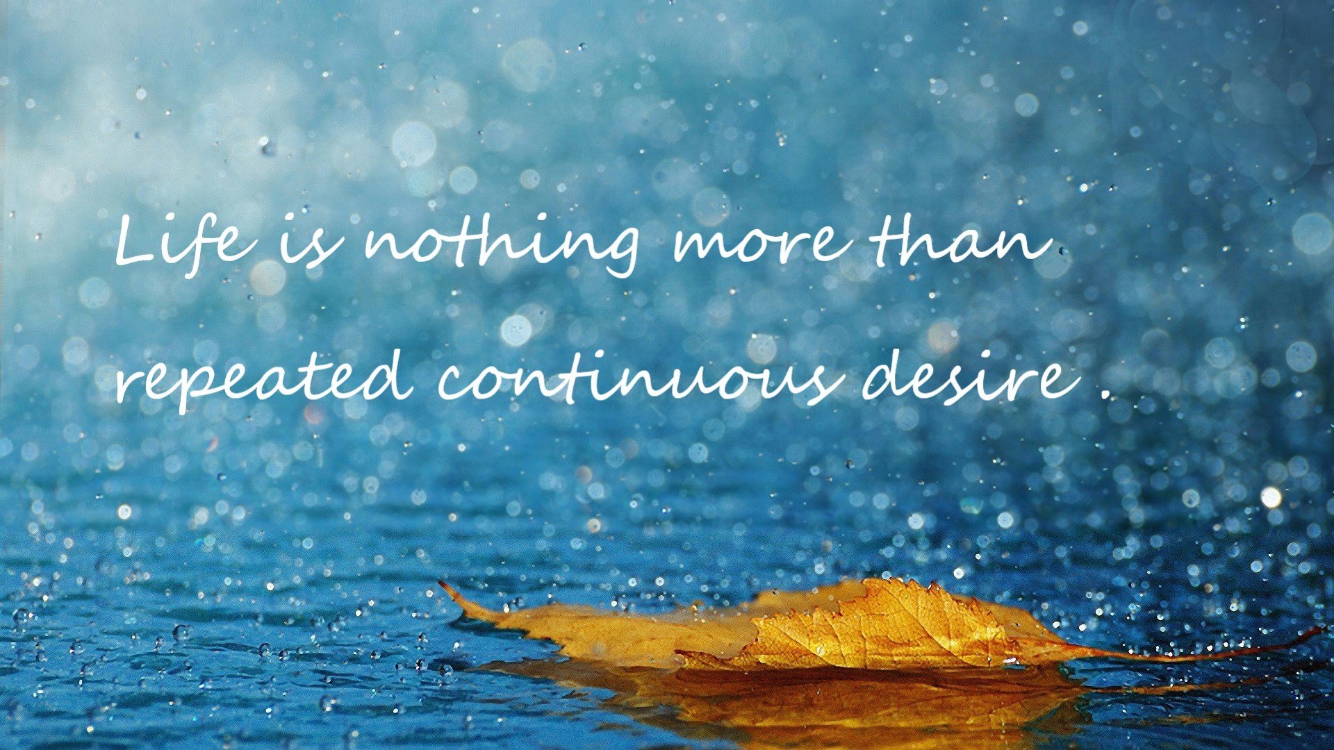 福特的防守力量成为全黑队抵挡对手进攻的坚固屏障,福特这个人