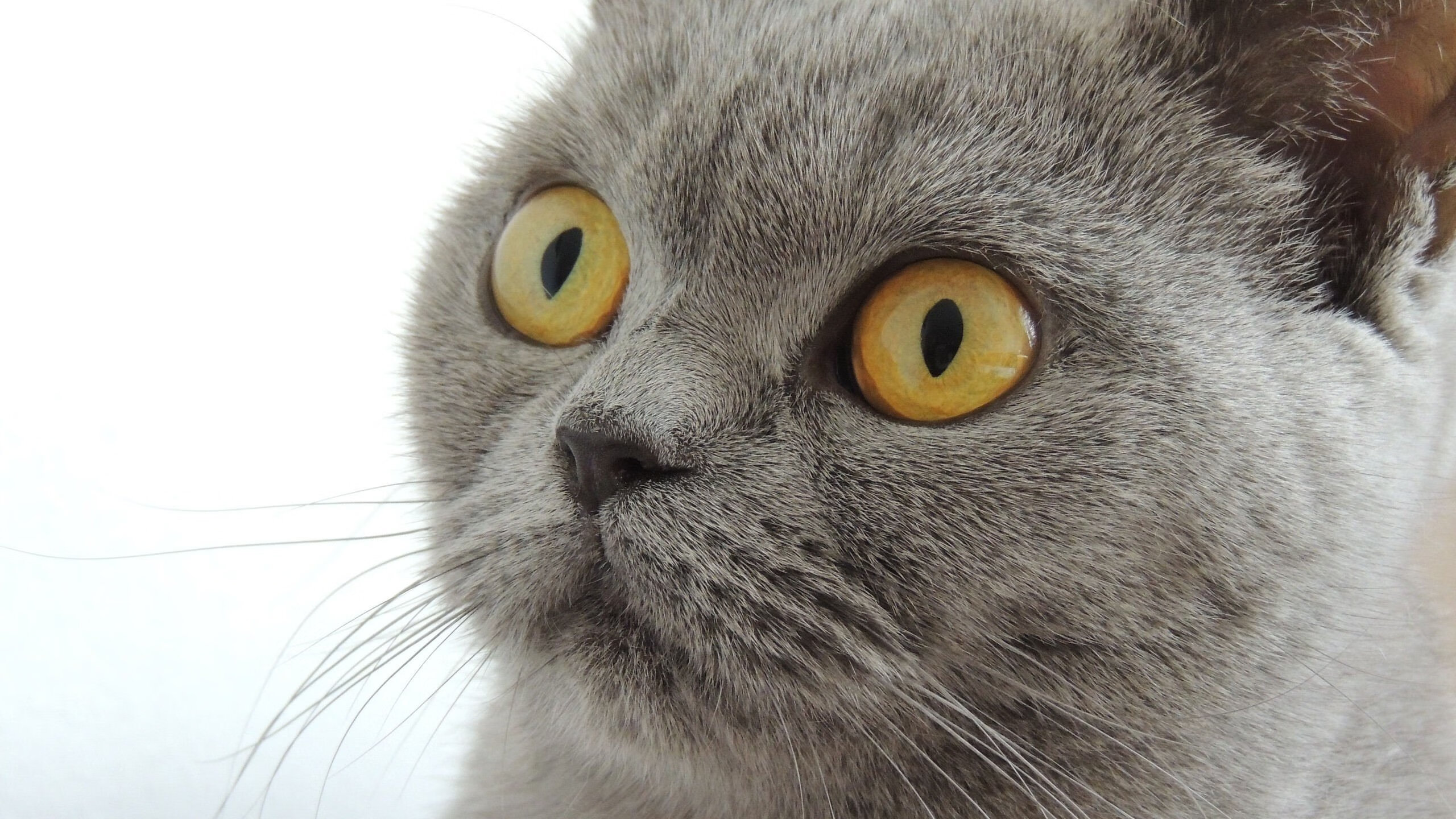 Ac米兰俱乐部官网-西甲绝品传球：极致技巧引领潮流，西甲传奇