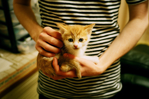 米兰全站APP下载-跳水选手姿态优雅瑞士获认可，瑞士跳水女选手