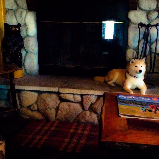 郭艾伦助阵火箭训练引国内关注,郭艾伦 上场